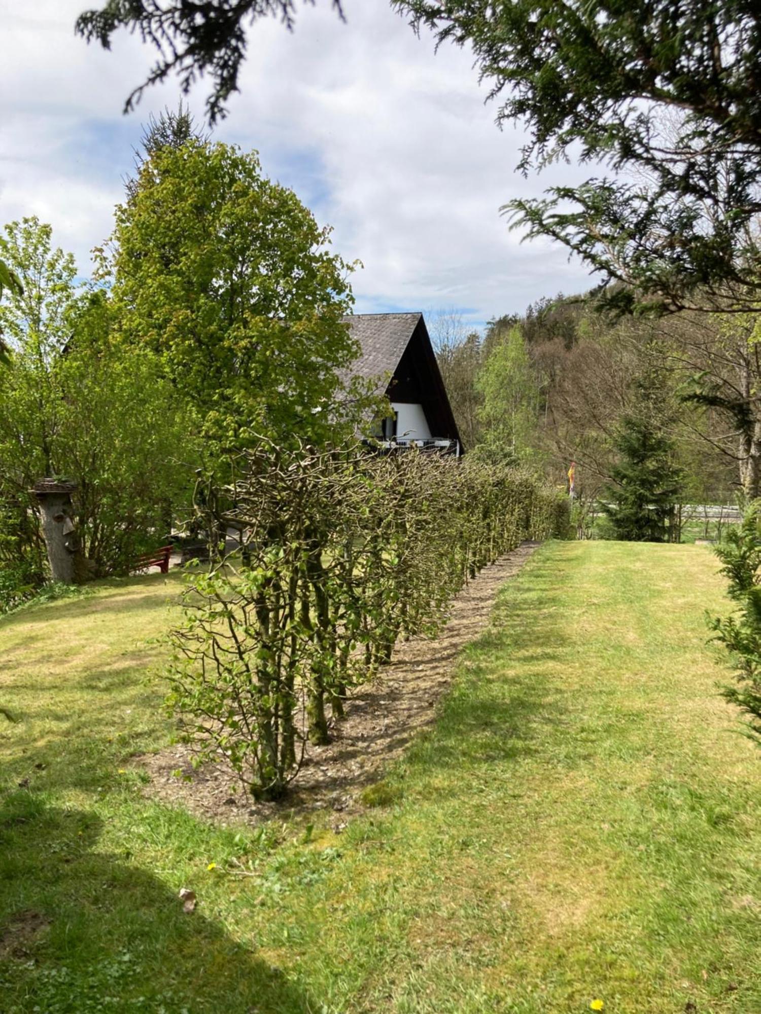Gasthof Walhalja Schmallenberg Luaran gambar