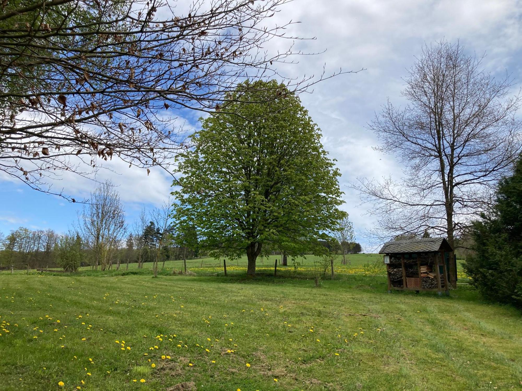 Gasthof Walhalja Schmallenberg Luaran gambar